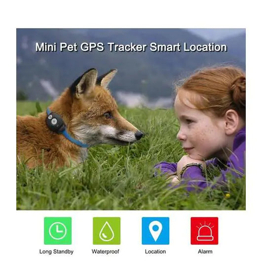 Smart GPS Pet Collar – Real-Time Tracker with Safety Alarms for Dogs & Cats